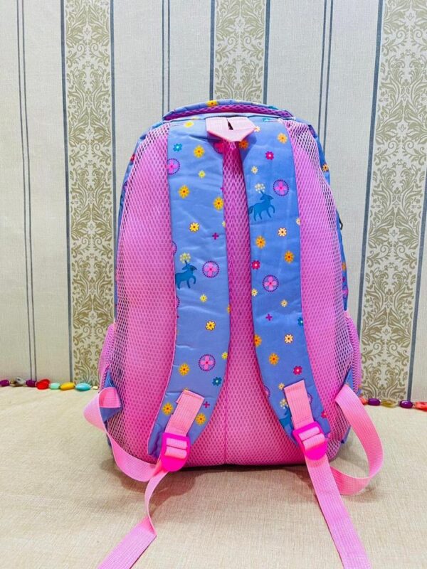school bags for girl in Pakistan